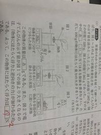 中学生理科の問題ですアサリのあしはなにでできているか とい Yahoo 知恵袋
