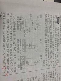 中学生です理科で何でもいいから環境とかに着いてレポートを書い Yahoo 知恵袋