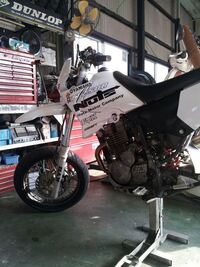 このカスタムバイクのタンクとシュラウドは何のバイクの流用品でしょうか 画像のバ Yahoo 知恵袋