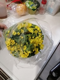 数日前に直売所で買った菜の花が、黄色い花がかなり咲きました
これはおひたしで美味しく食べられますか？

宜しくお願いします 