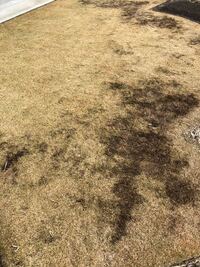 川砂で無塩砂と書いてありますがモルタル 園芸用と書いてあります これ Yahoo 知恵袋