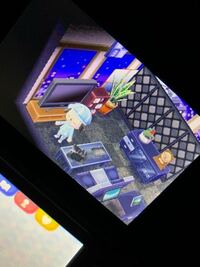 とびだせどうぶつの森の部屋の内装 家具について こんにちは どうぶつ Yahoo 知恵袋