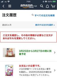 アニプレックスというネット通販サイトで商品の注文をしたのですが 自身の Yahoo 知恵袋