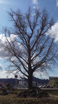 畑の土作りで質問です 石灰より先に肥料を撒きました後から石灰を撒いて Yahoo 知恵袋