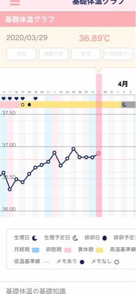 陰性から陽性 高温期12日目