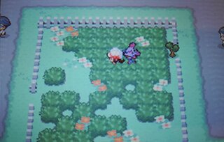 昔のポケットモンスタークリスタルのバグ ついての質問 と皆様のお話を Yahoo 知恵袋