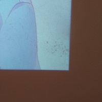 実写映像撮影方法 現在大学で自主制作を行っています その中で スクリーンに Yahoo 知恵袋