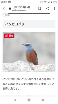 鳥の鳴き声に詳しい方に質問します 夕方 山の方から聞こえてくる鳥の声が Yahoo 知恵袋