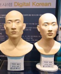 韓国人の平均顔について 韓国語で書かれたサイトで 下の画像が韓国 Yahoo 知恵袋