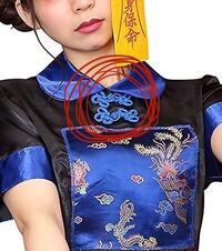 服の装飾について 中国 の装飾で赤丸で囲った部分の装飾の名前を教 Yahoo 知恵袋
