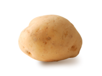 ジャガイモの夏疫病に関して教えて下さい ジャガイモの葉に黒い点々が発生しだし Yahoo 知恵袋