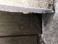 木造建物家の建物の柱が虫にやられたのか 以下の写真のような穴 黒い部分 ができ Yahoo 知恵袋