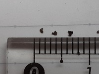 この黒いカスってなんですか 頭をかいたら粒くらい出てきました大き Yahoo 知恵袋