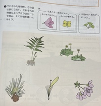 理科の植物の 習ってない範囲が課題として出されているので答えていただ Yahoo 知恵袋