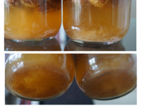 人間関係が苦手 友達もいない主婦です 焦っています 友達が Yahoo 知恵袋