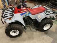 ４輪バイクに緑ナンバーについて 道路を走ってましたら ４輪バイクの Yahoo 知恵袋