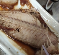 魚の寄生虫について教えてください 先日カレイの煮付けを食 Yahoo 知恵袋