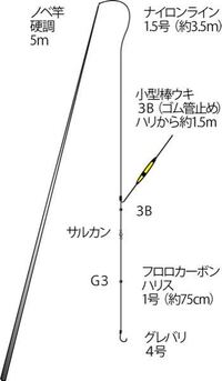 延べ竿で30 40cmのスズキかブラックバスを釣りたいのですがこの仕 Yahoo 知恵袋