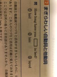 英語です この問題ですが 何故 のlain過去分詞形なのですか Laid Yahoo 知恵袋