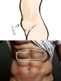 お腹の張りについてです 最近急に太ったような気がして特にご飯を食べた後 Yahoo 知恵袋