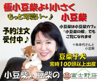 子犬常時100頭以上出産って そういうのってパピーミルって言いません Yahoo 知恵袋