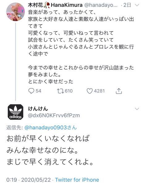 テラスハウス木村花さんの自殺についてけんけんというtwitterユー Yahoo 知恵袋