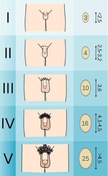 毛 処理 チン 男性アンダーヘア（チン毛）の処理・調節方法とおすすめデザインを紹介