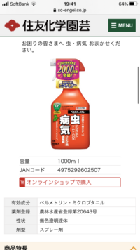 コガネムシの幼虫 卵を駆除したい 子どもたちとプランターで家庭菜園をは Yahoo 知恵袋