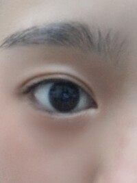 この目は 何目ですか 例えば つり目タレ目とか三白眼とかです つ Yahoo 知恵袋