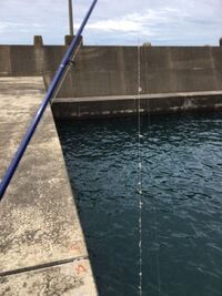 昨日釣りに行った時 仕掛けにピンク色の糸の様な物が絡みました 以前触 Yahoo 知恵袋