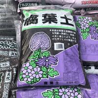 カブトムシの土は園芸用土でも良いようですが園芸用土だけで大丈夫ですか Yahoo 知恵袋