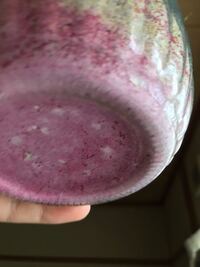 ダイソーの観葉植物を買いました 自分で色々調べてカラーサンド に Yahoo 知恵袋