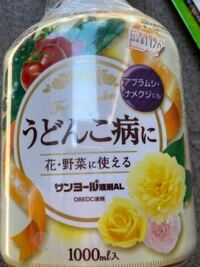 家庭菜園やってますトマトがうどんこ病になりました うどんこ病になった茎になって Yahoo 知恵袋