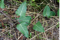 合間合間 っていう日本語は正しいですか ただの合間よりも もう少し細かい区 Yahoo 知恵袋