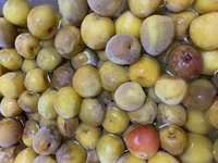 先日テレビで見た さしす梅干しを漬けてみました そのやり方だと 土用干しは Yahoo 知恵袋