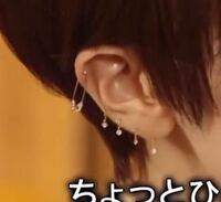 椎名林檎　労働ピアス 椎名林檎 林檎班限定 労働ピアス