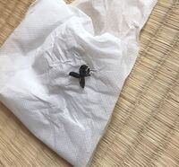 洗面所に2mmほどの小さくて黒い虫がいたのですが なんという名前の虫 Yahoo 知恵袋