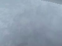 鳥のフンって 車のボディに付いて放置してたら シミみたいに取れなくなり Yahoo 知恵袋