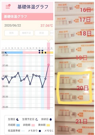 排卵検査薬と仲良しのタイミングについて 妊活の為 今月より基礎体温と Yahoo 知恵袋