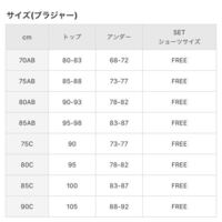 韓国通販サイトの下着についてお聞きしたいです 韓国の通販サイトは可 Yahoo 知恵袋