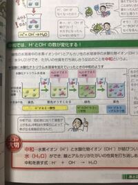 中3理科の問題です 水酸化ナトリウム水溶液にうすい塩酸を少量ずつ加えるという問 Yahoo 知恵袋