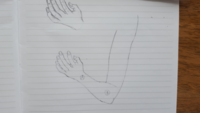 立体感 三次元的な のある腕の描き方のアドバイスをお願いいたします ご Yahoo 知恵袋