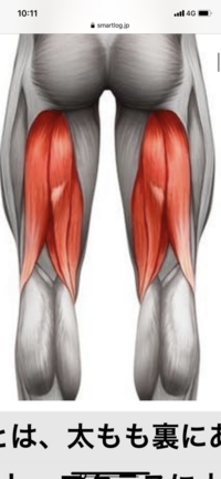 病気でしょうか 太腿の裏の筋肉 ハムストリング がのばさないと凄く気 Yahoo 知恵袋