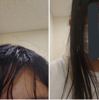 1日経つと髪の毛が不潔 閲覧してくださりありがとうございます Yahoo Beauty