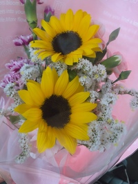 かすみ草に似てるのですが茎はつる状で小さな葉っぱ 葉裏は紫っぽい 白い小花が Yahoo 知恵袋