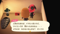 キャンプサイト 勧誘 入れ替え あつ森