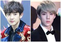 チャニョルとセフンどちらの方がイケメンですか Exo Yahoo 知恵袋