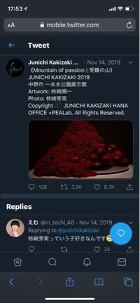 この「photo:柿崎芽実」って元日向坂46の伝説的スーパーエースで
