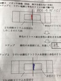 中学の理科のイオンについて質問ですよくph試験紙とろ紙を硝酸カ Yahoo 知恵袋