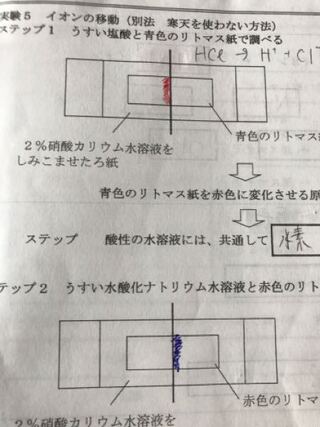 中3理科のイオンの移動 硝酸カリウムを染み込ませたろ紙の上にリト Yahoo 知恵袋